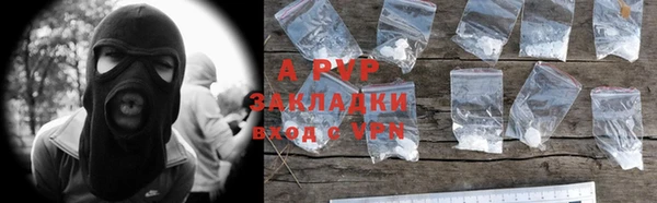 индика Волосово