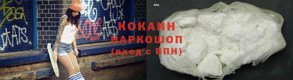 индика Волосово
