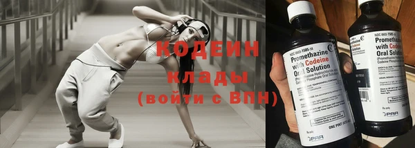 индика Волосово