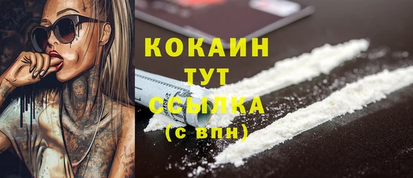 МДПВ Волоколамск