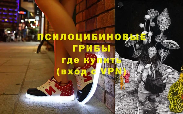 МДПВ Волоколамск