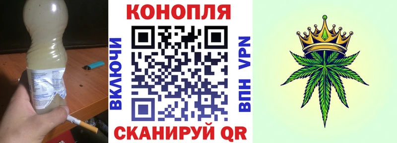 Канабис гибрид  Черноголовка 